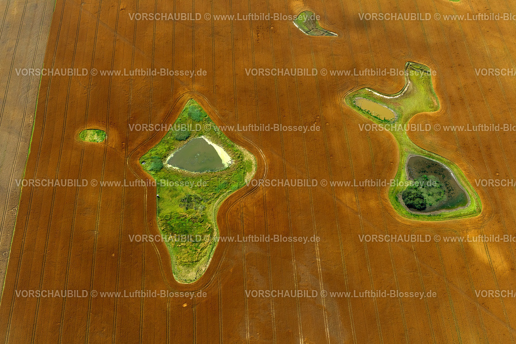 GrossSchwansee12084522 | abgeerntetes Feld mit Teichen und Wieseninseln, graphische Elemente,  Damshagen, Mecklenburg-Vorpommern, Deutschland, Europa