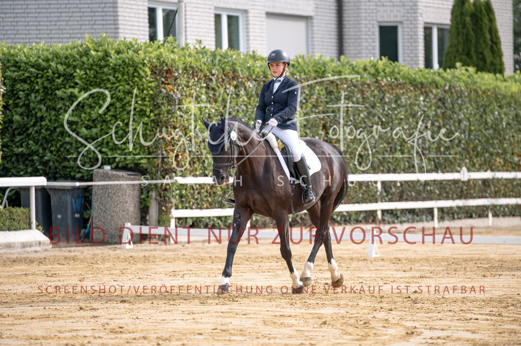 Schugtsche-Aluta25-40.DressurprfA_-127 | Schugtsche Fotografie - Realisiert mit Pictrs.com