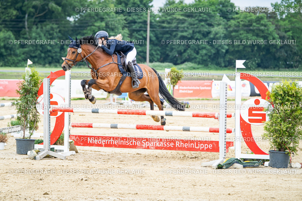 DSC03732 | Pferdegrafie