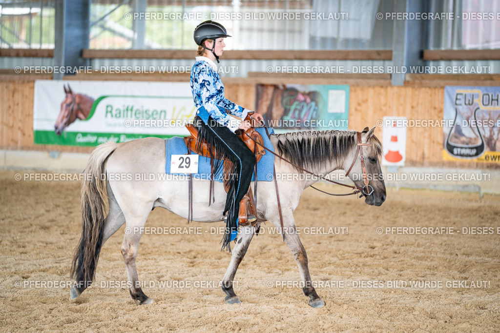 DSC09691 | Pferdegrafie