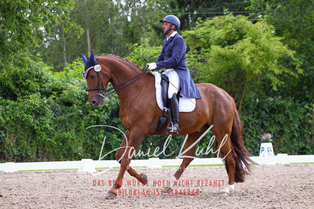 DKP41489 | Deine Turnierfotos vom Reitturnier online kaufen: Dressur, Springen & Siegerehrung. Professionelle Pferdefotografie aus dem Rheinland – als Download & Print.Alternative: Turnierfotograf für den Pferdesport: Finde deine Fotos von Dressur- und Springturnier