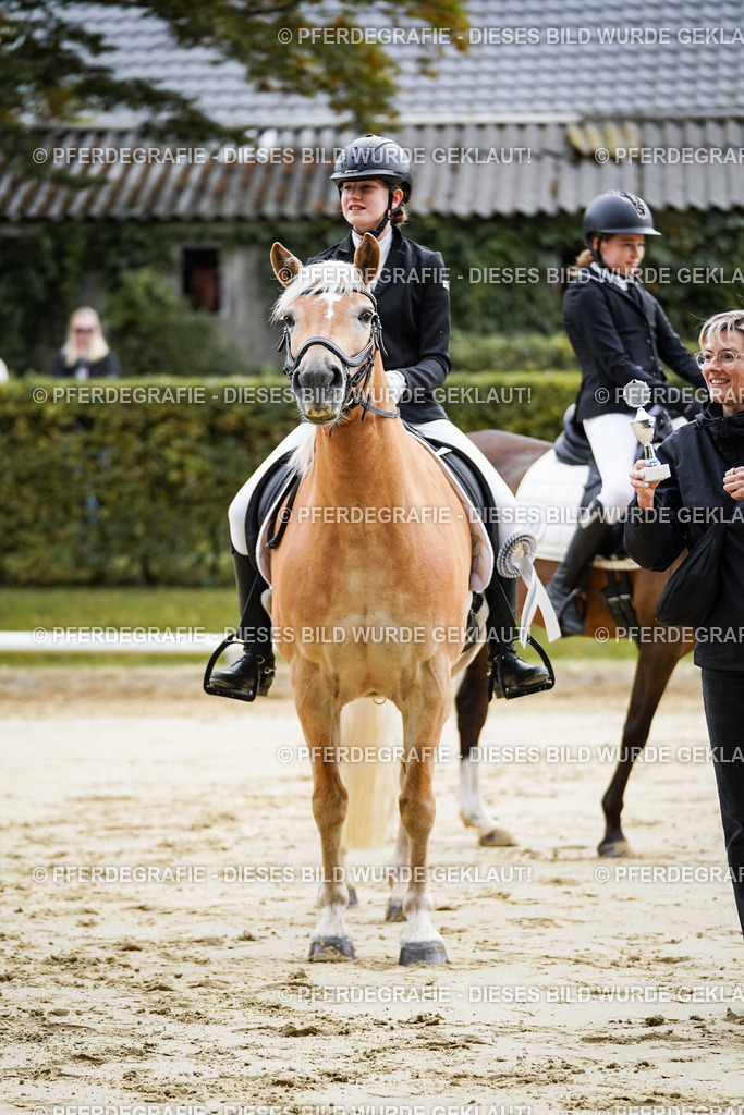 DSC04971 | Pferdegrafie