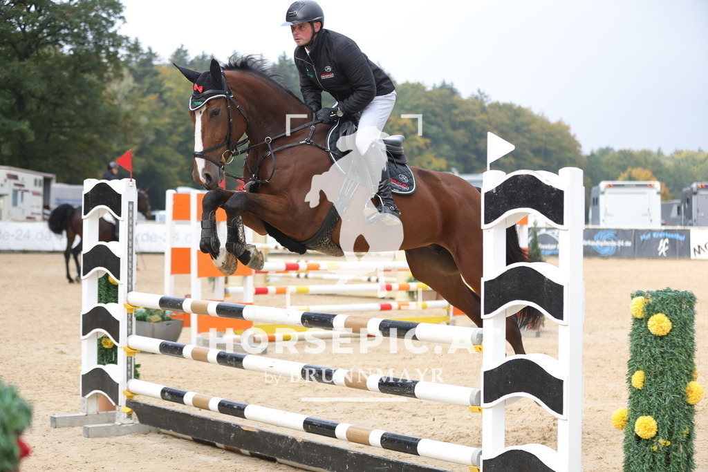 0P6A1566 | Willkommen bei Brunnmayr - Design & Fotografie – Ihrem Spezialisten für Reitturniere und Pferdeveranstaltungen in Oberösterreich, Salzburg und Bayern! Seit über 17 Jahren sind wir leidenschaftlich dabei.