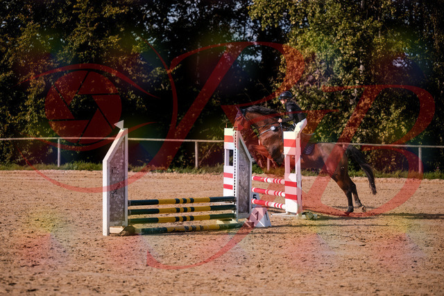 2026_10_03_Siefer-Hof_154659_Z81_66090675 | Professionelle Reitsport-, Turnier- und Eventfotografie von Robert Broda. Galerien mit ausgewählten und bearbeiteten Bildern direkt online ansehen und bestellen.