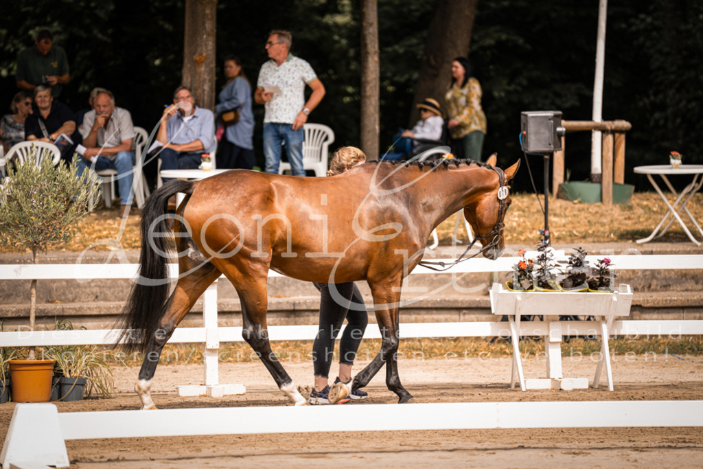 4.Fr00204 | Leoni Ertmer Photography - Realisiert mit Pictrs.com