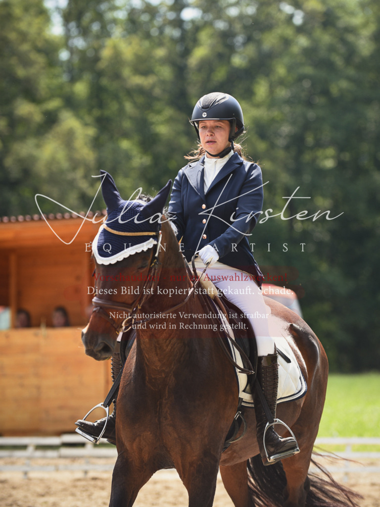 DSC_0973 | Pferde- und Turnierfotografie in Westsachsen. Pferdeportraits, Auftragszeichnungen und intuitive Kunst.
