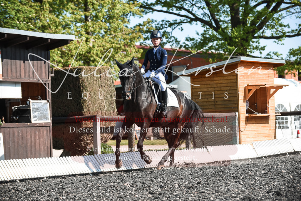 DSC_8575 | Pferde- und Turnierfotografie in Westsachsen. Pferdeportraits, Auftragszeichnungen und intuitive Kunst.
