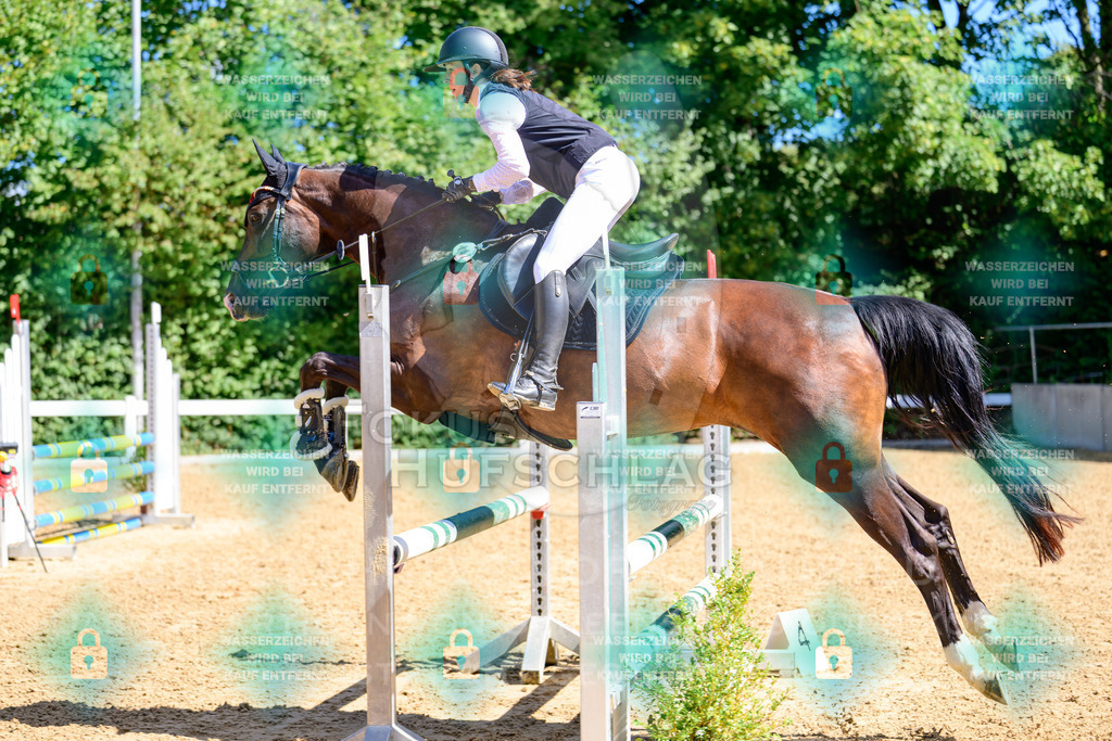 29082026-Giesenbach-Prfg10-0788 | Fokus Hufschlag Fotografie - Realisiert mit Pictrs.com
