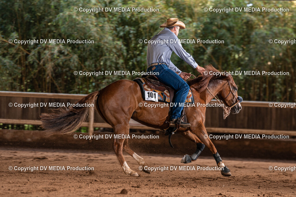 Erbach Tag 2-888 | dv-media-shop - Realisiert mit Pictrs.com