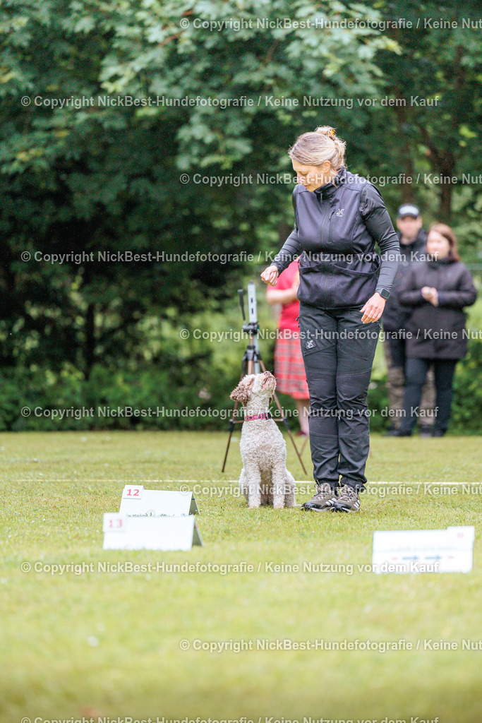 RO-Blumenthal-2026-Nickbest-Hundefotografie-0372 | Dein Hund! Dein Moment! Deine Erinnerungen! Hundefotografie in Bremen Blumenthal. Ich fange die besonderen Momente deines Vierbeiners ein – ob Indoor mit Blitzanlage oder in der freien Natur. Sicher dir dein Moment und dein Termin für eure Erinnerungen.