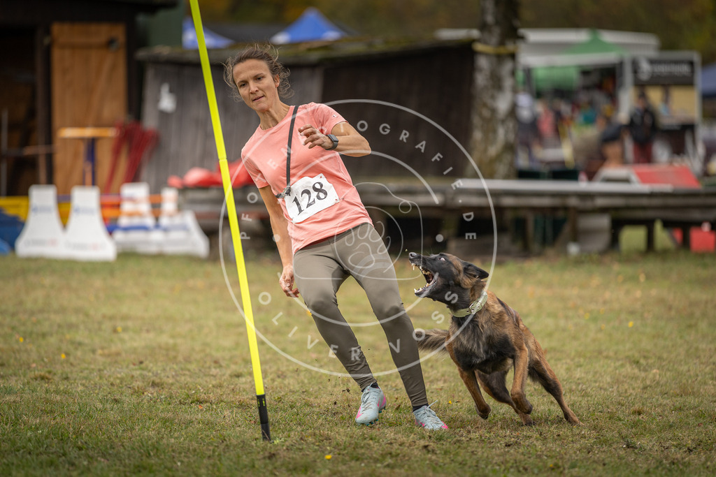 Pfotenfotografie_DV3A7354 | Hundefotografie, Tierfotograf, Pfotenfotografie, Fotoshooting Hund, Hunde Portrait, Hundesport, Hundeportraits, Heideshooting, Hunde, Sportfotograf, Hundefotograf, Turnierhundsport, THS,  - Realisiert mit Pictrs.com