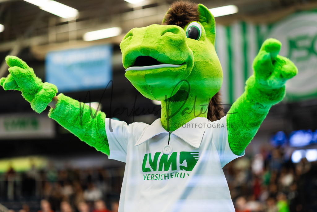 Volleyball, 1. Bundesliga Frauen, Hauptrunde, 8. Spieltag, Saison 2025/2026: USC Münster - Dresdner SC | 1. Bundesliga Frauen, Hauptrunde, 8. Spieltag, Saison 2025/2026, USC Münster empfängt Dresdner SC in der Sporthalle Berg Fidel in Münster. Foto: sportfotografie.ms | Markus Paletta - Realisiert mit Pictrs.com