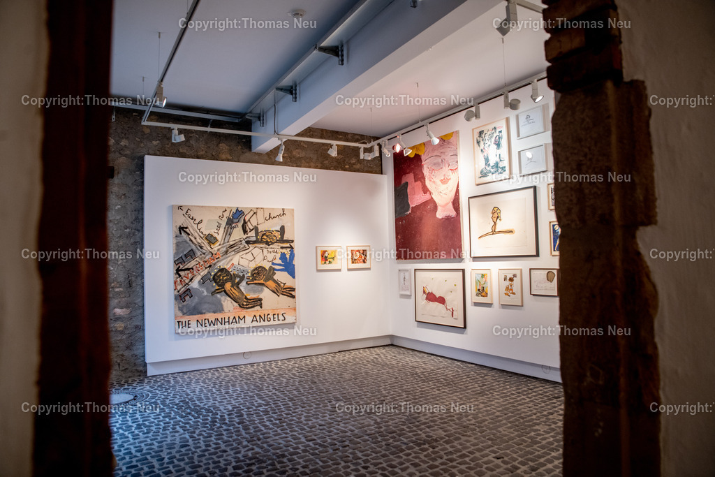 DSC_0391 | Museum der Stadt Bensheim, Finissage der Ausstellung "Rosa Loy, guest Rose Wylie - Doubletten" - 