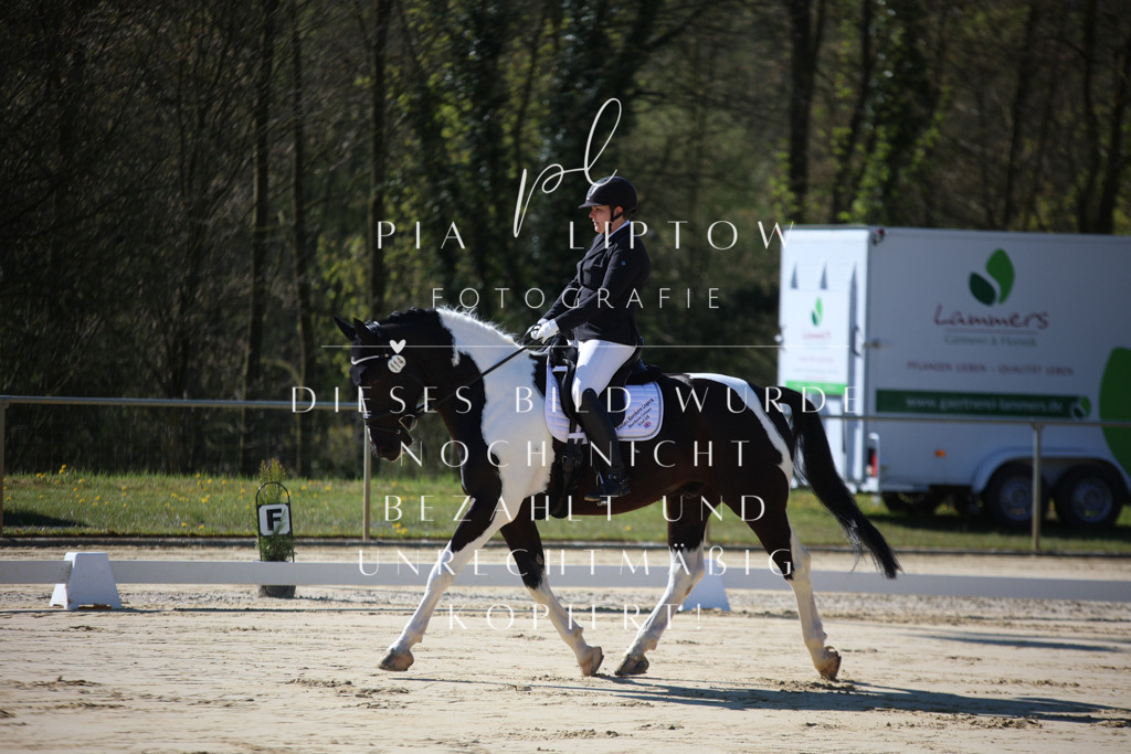 IMGT9187 | pl-fotografie