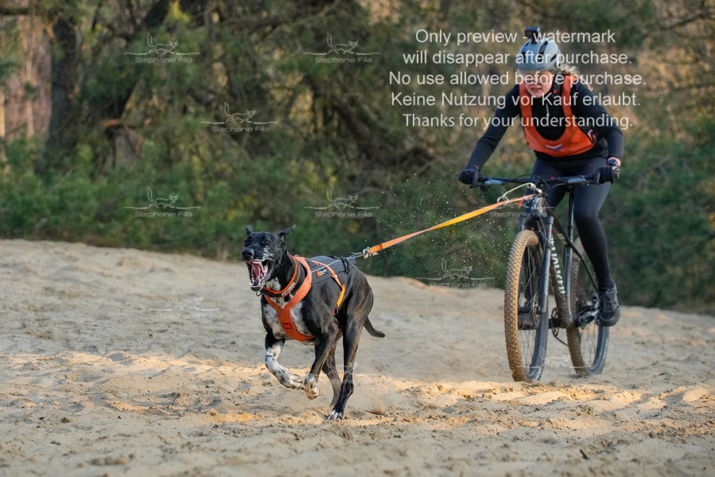 So_Bike-210 | stephaniefillaphotographie - Realisiert mit Pictrs.com