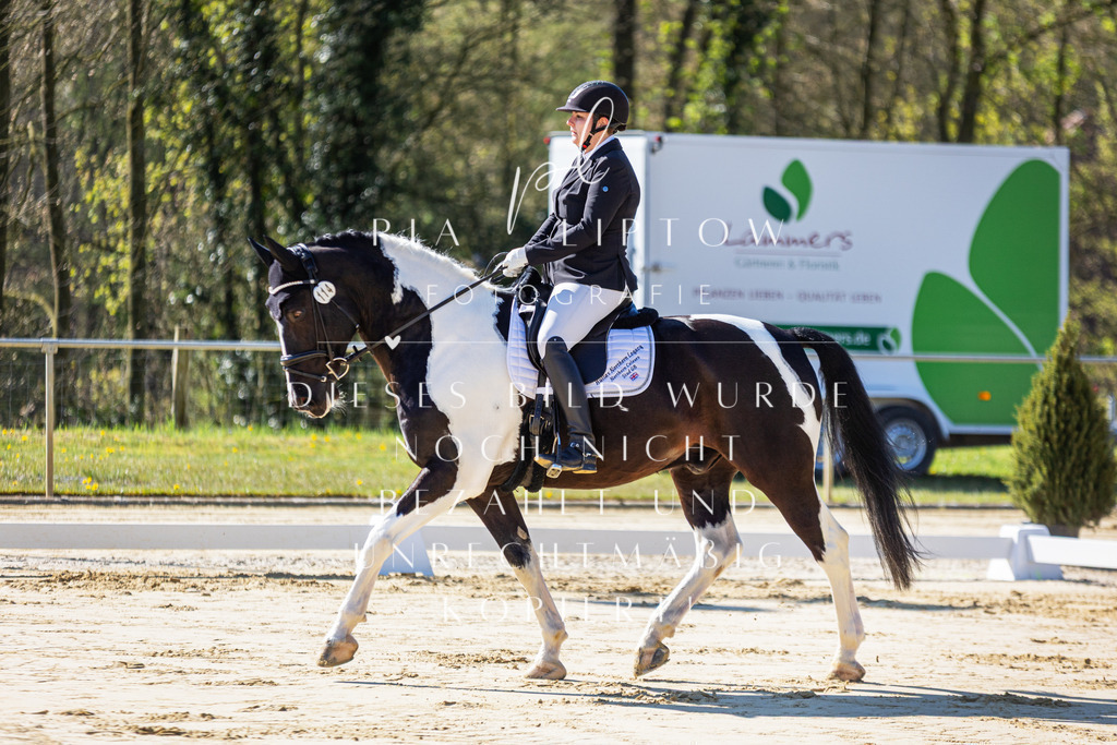 IMGT9312 | pl-fotografie