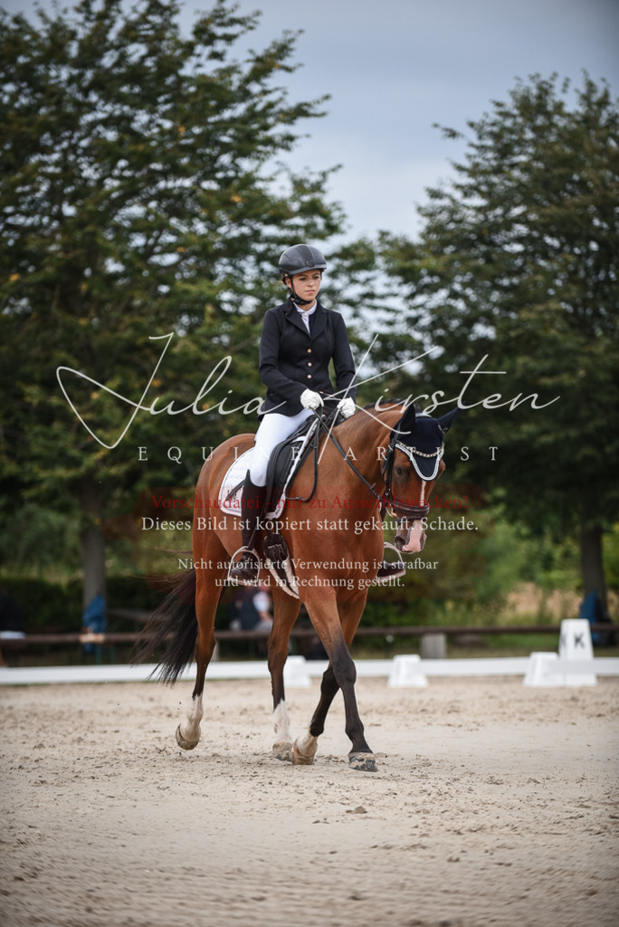 DSC_8398 | Pferde- und Turnierfotografie in Westsachsen. Pferdeportraits, Auftragszeichnungen und intuitive Kunst.