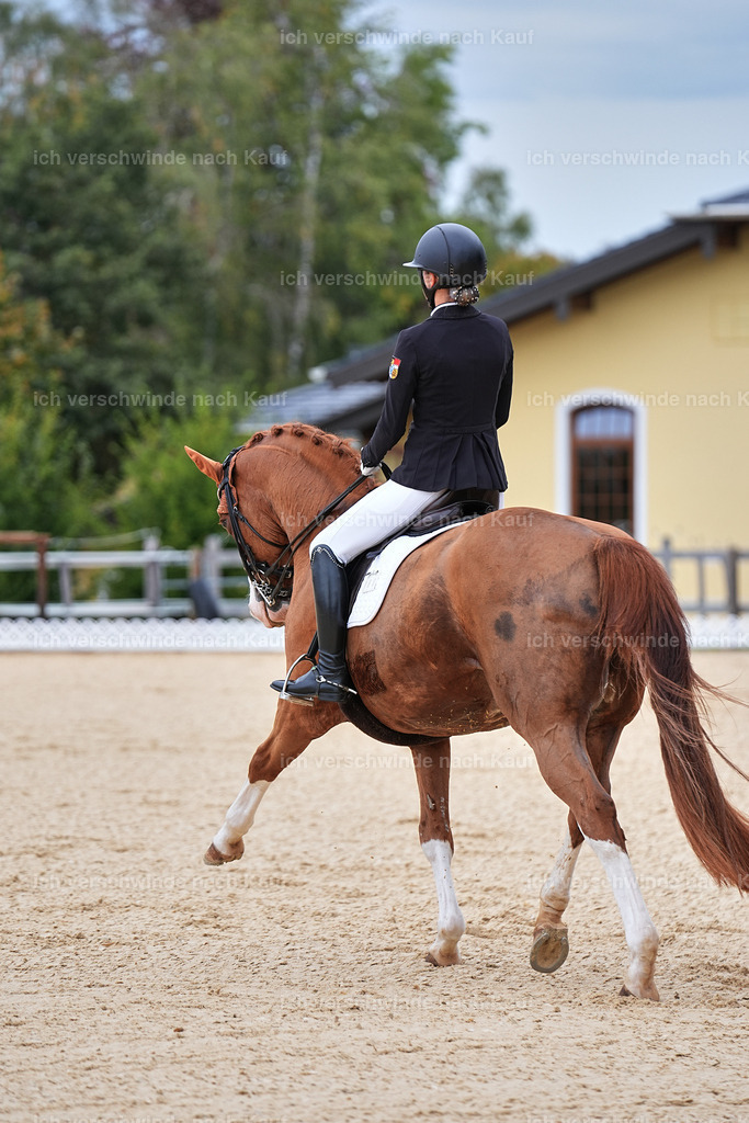 04_1-180-Dressur M__ -Marixx-2777 | working equitationturnier fotograf videograf stoibphotography marixx film working equitation deutschland reitsport turnierfotografie eventfotografie equestrian events