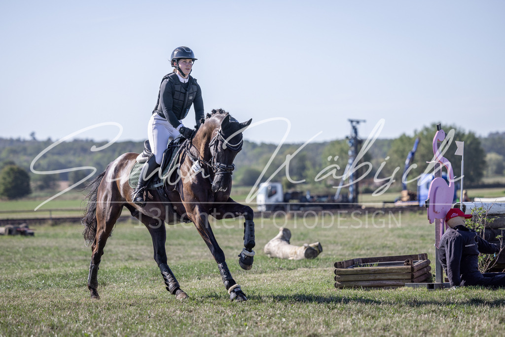 20260906-_3LI2061 | Tierfotografie Pferde, Hunde, Katzen, Haustiere.
Turnierfotografie Reitturniere, Reiten, Springreiten, Dressur in Hanau, dem Main-Kinzig-Kreis und dem Rhein-Main- Gebiet um Frankfurt