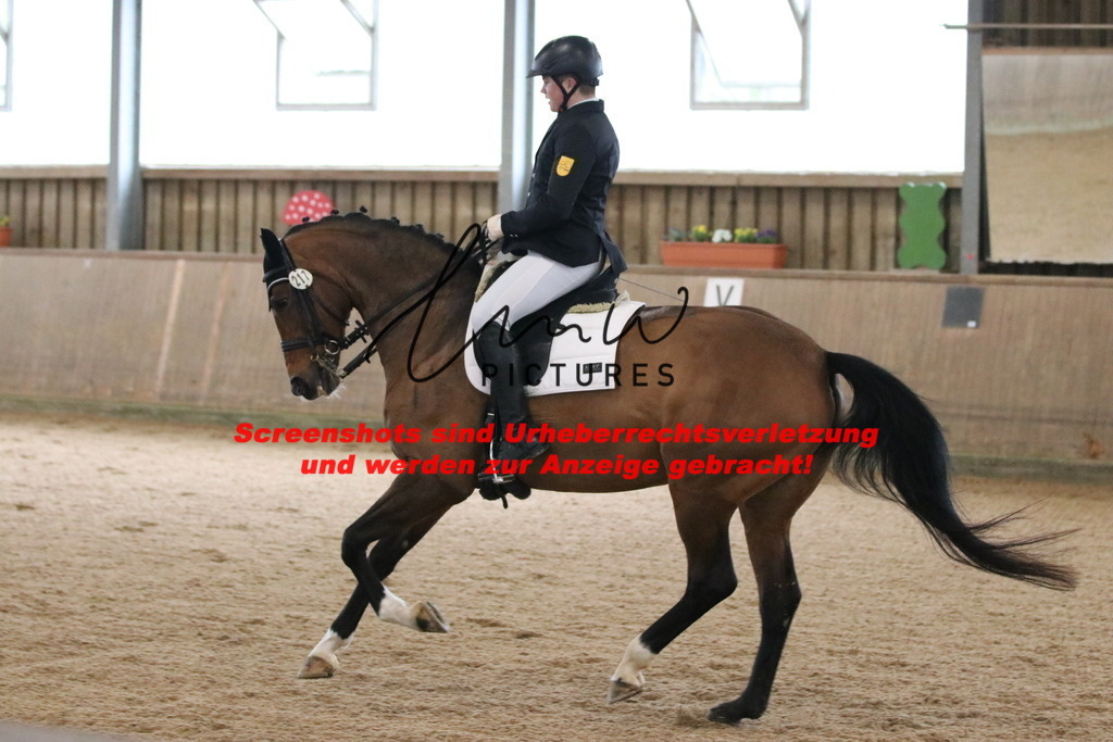 IMG_8574 | lmwpictures - Realisiert mit Pictrs.com