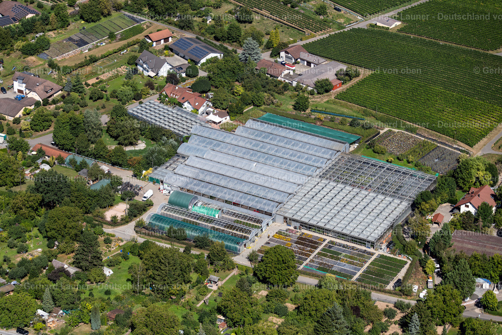 3902701 | Bioland Gärtnerei Umbach-Goji, Heilbronn