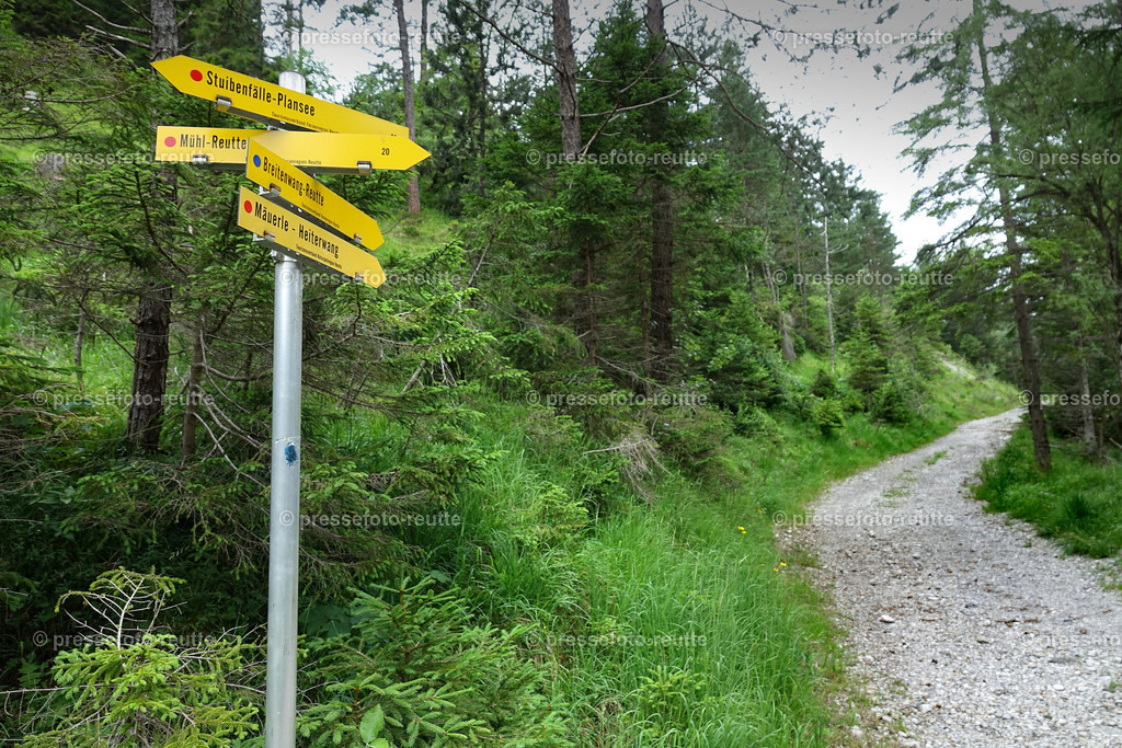 welltvi-2019-Juli09--Stuibenfaelle-Planseeabfluss-Reutte-DSD03353 | Info aus dem Bezirk Reutte/Ausserfern Tirol sowie eine umfangreiche Bilddatenbank über die gesamte Region: Lechtal, Talkessel Reutte, Tannheimertal, Zwischentoren. Lech, Plansee, Zugspitze, Grenztunnel, B179, Fernpassstraße, Verkehr, Lawinen, Tradition, - Realisiert mit Pictrs.com