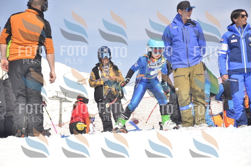 _ELE9307 | holidayphoto