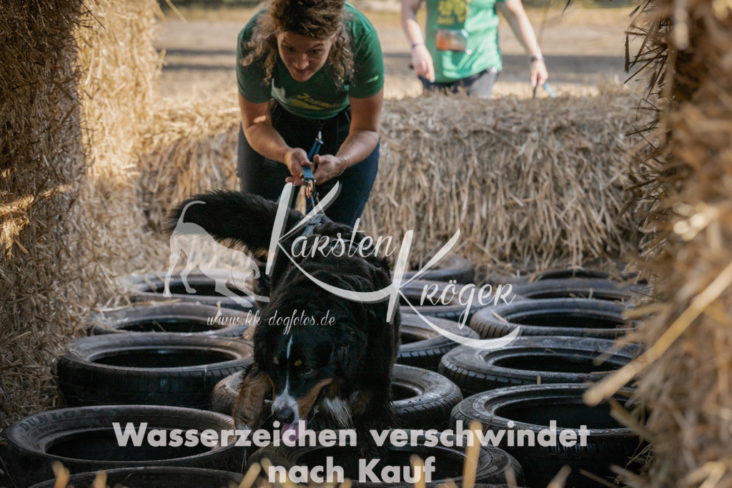 1055_ZZ99596 | kk-dogfotos