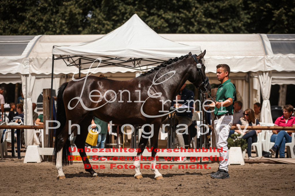 8.So00117 | Leoni Ertmer Photography - Realisiert mit Pictrs.com