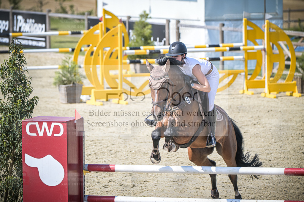 DOS_2255 | Entdecke hochwertige Reitturnierfotos von Foto Oger. Professionell, emotional und authentisch – jetzt Lieblingsmomente im Shop bestellen. - Realisiert mit Pictrs.com