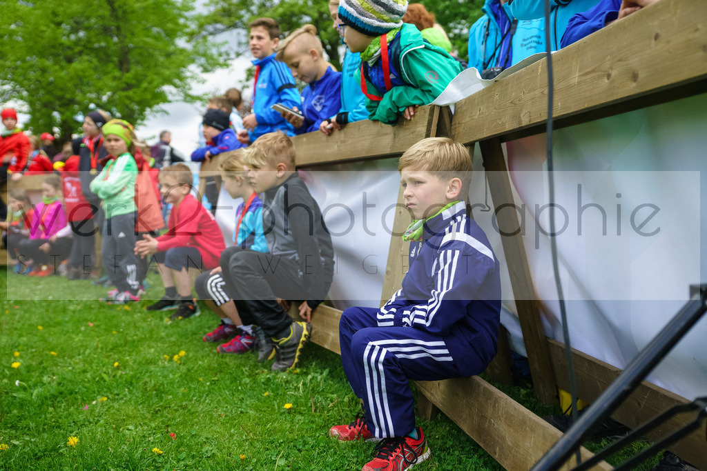 Rennsteiglauf 2017 | Neuhaus/Rwg. - Schmiedefeld am 19. Mai 2017