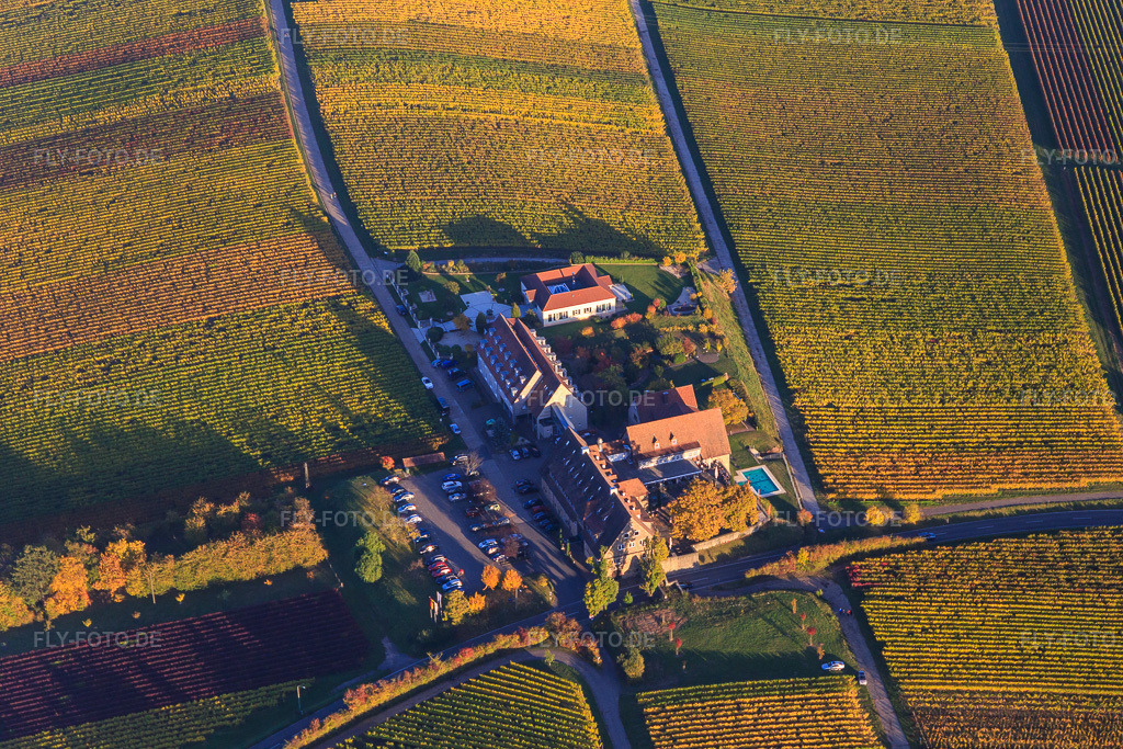 Luftbild: Hotel Leinsweiler Hof zwischen berbstlicht bunten Weinbergen in Leinsweiler im Bundesland Rheinland-Pfalz in Deutschland. Foto: IMG_095728.jpg vom 30.10.2016 durch Werner Riehm/FLY-FOTO.deUnvergessliche Momente im Urlaub - Leinsweiler Hof