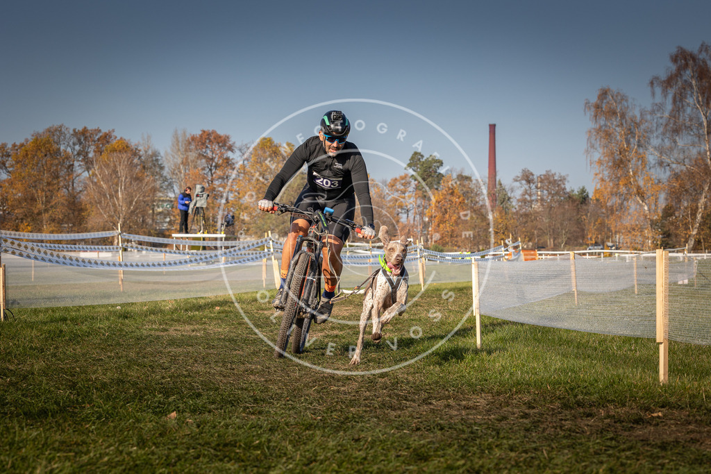 CaniXpix_0L8A7830 | Hundefotografie, Tierfotograf, Pfotenfotografie, Fotoshooting Hund, Hunde Portrait, Hundesport, Hundeportraits, Heideshooting, Hunde, Sportfotograf, Hundefotograf, Turnierhundsport, THS,  - Realisiert mit Pictrs.com