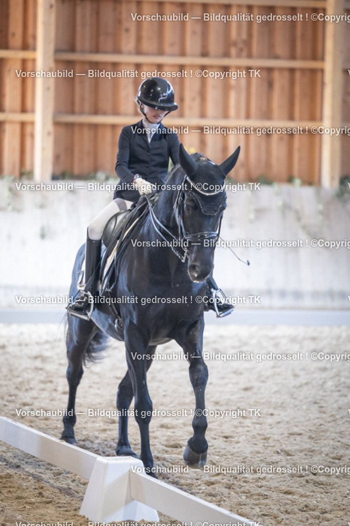 _D5A5085 | Emotionale Pferde- & People-Fotografie rund um Heidelberg, Leimen & Umgebung. Natürliche Fotos von Pferd, Mensch & Familie. Jetzt Termin sichern!