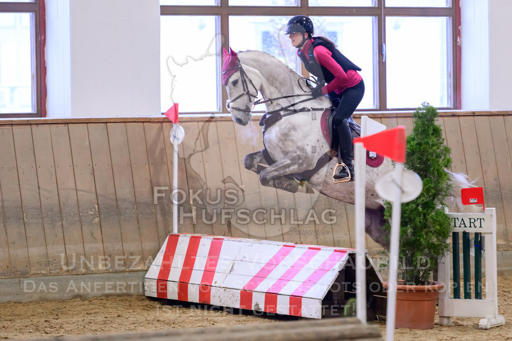29032026-Schwaiganger-Prfg01-557 | Fokus Hufschlag Fotografie - Realisiert mit Pictrs.com