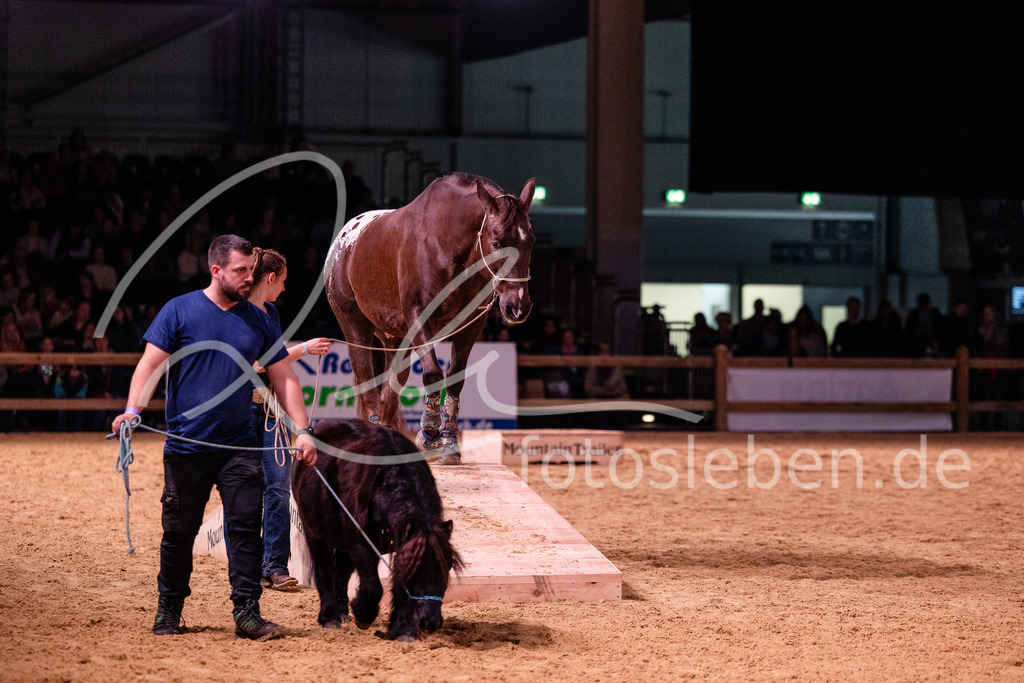 846A8314 | fotosleben - Realisiert mit Pictrs.com