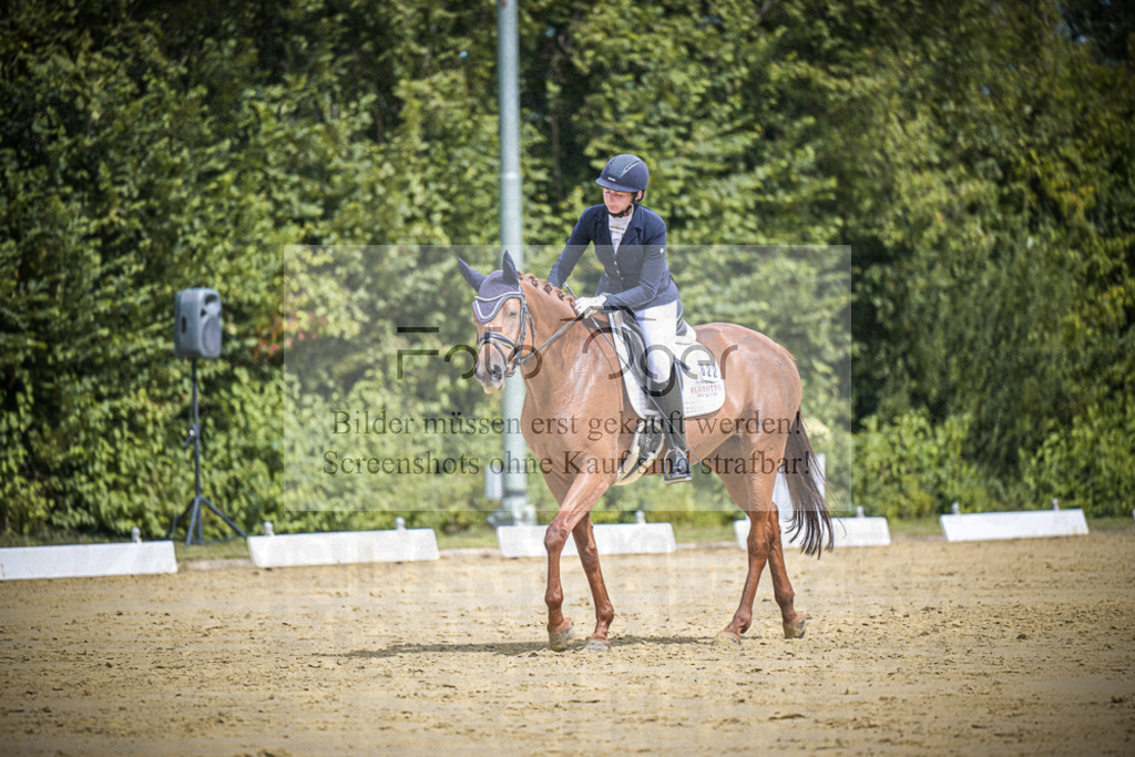 DOS_2715 | Entdecke hochwertige Reitturnierfotos von Foto Oger. Professionell, emotional und authentisch – jetzt Lieblingsmomente im Shop bestellen.Deutschlandweite Turnierfotografie. - Realisiert mit Pictrs.com