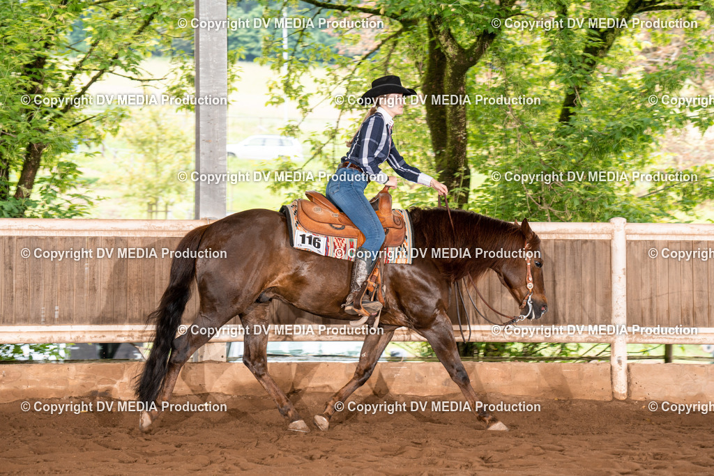 Erbach Tag 4-702 | dv-media-shop - Realisiert mit Pictrs.com