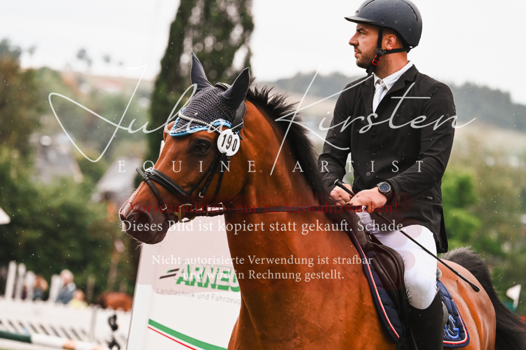 DSC_6328 | Pferde- und Turnierfotografie in Westsachsen. Pferdeportraits, Auftragszeichnungen und intuitive Kunst.