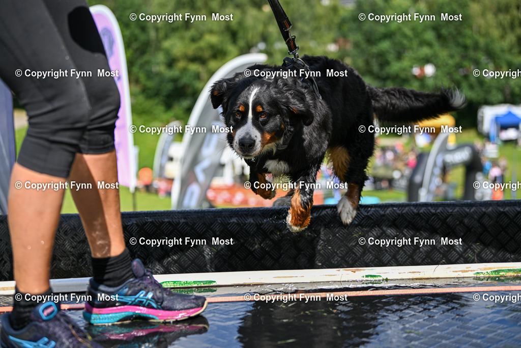 DSC_1748 | Hallo und herzlich Willkommen auf meiner Shop-Seite Fynn Most.

Ich wünsche Dir viel Spaß beim stöbern durch die Bilder, wenn Du Fragen hast oder Bilder vermisst, kannst du mir gerne eine Nachricht schreiben. - Realisiert mit Pictrs.com