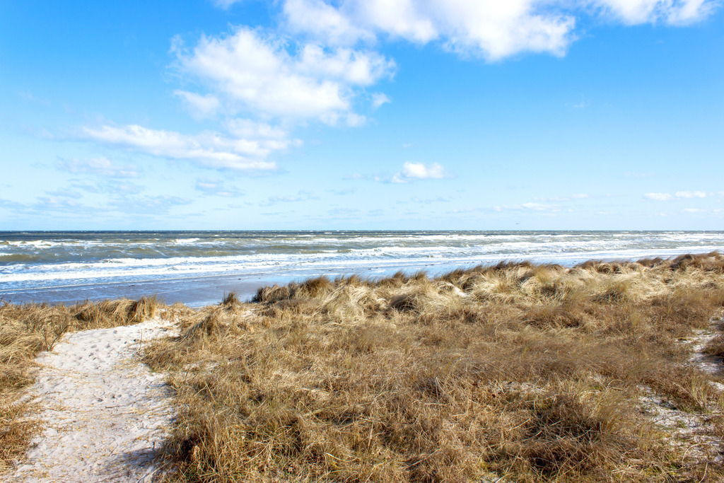 Wandbild: Sandweg an den Strand in Kronsgaard im Winter | Dieses Wandbild im Querformat zeigt einen sandigen Weg, der sich durch trockenes Wintergras zum Strand von Kronsgaard schlängelt. Die Ostsee liegt ruhig am Horizont, das Licht ist klar, der Himmel fast wolkenlos. Die Szene strahlt nordische Zurückhaltung und natürliche Weite aus – ein stiller Moment zwischen Jahreszeiten. Ideal für Wohnräume, Ferienunterkünfte oder Praxisräume, die Ruhe und Klarheit ausstrahlen sollen. Erhältlich als Leinwand, Acrylglas, Alu-Dibond, hochwertiger FineArt-Druck oder als schallabsorbierendes Akustikbild. - Realisiert mit Pictrs.com