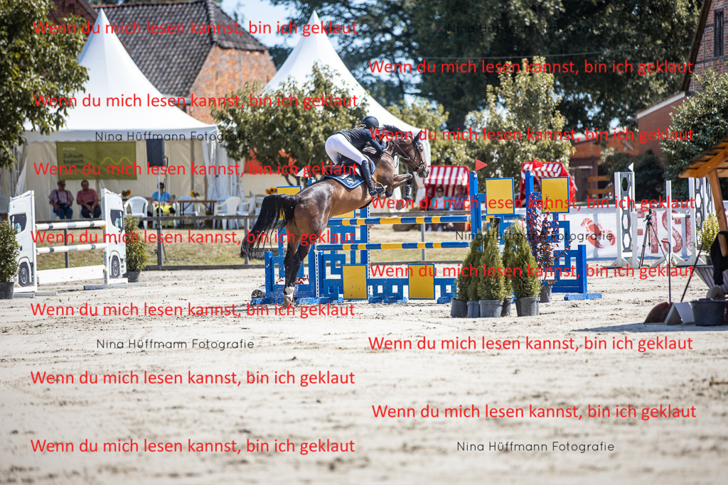 BK1A6607 | Turnierbilder Turnierfotos Nina Hüffmann Turnierfotografie Pferdefotografie Tierzeichnung Haustierzeichnung Pferdezeichnung Hundezeichnung Videograf  - Realisiert mit Pictrs.com