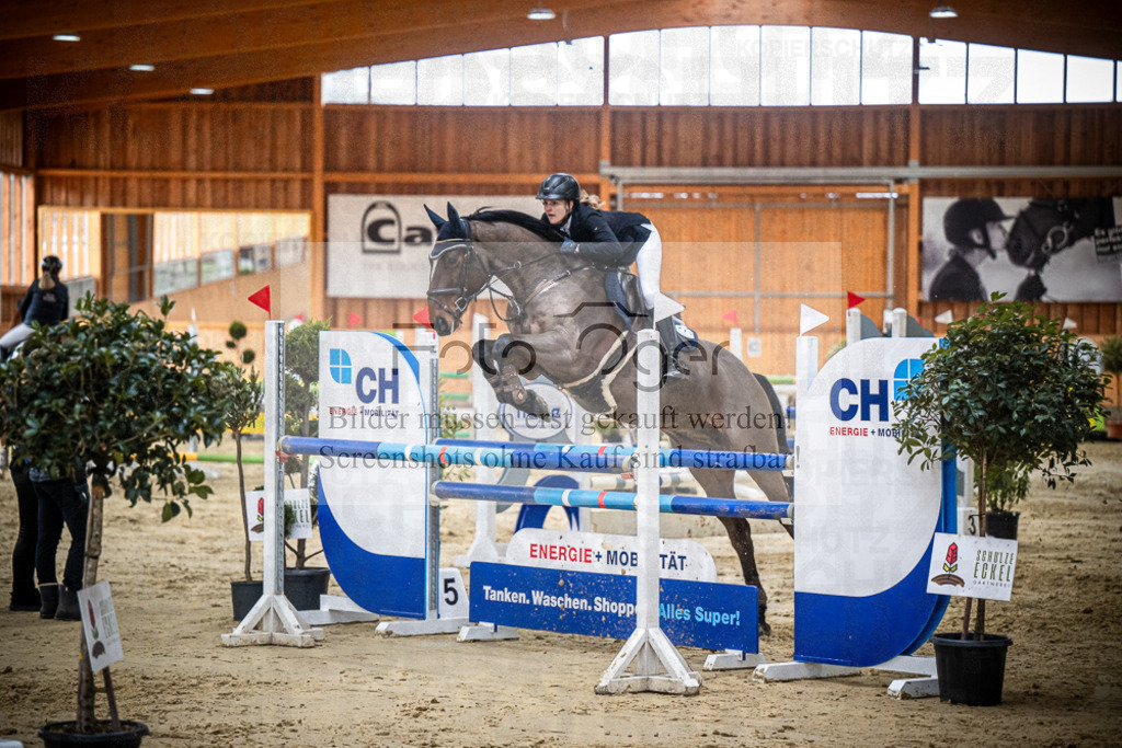 DOS_1054 | Entdecke hochwertige Reitturnierfotos von Foto Oger. Professionell, emotional und authentisch – jetzt Lieblingsmomente im Shop bestellen.Deutschlandweite Turnierfotografie. - Realisiert mit Pictrs.com