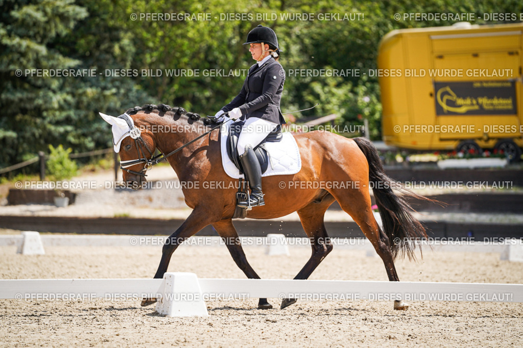 DSC01109 | Pferdegrafie