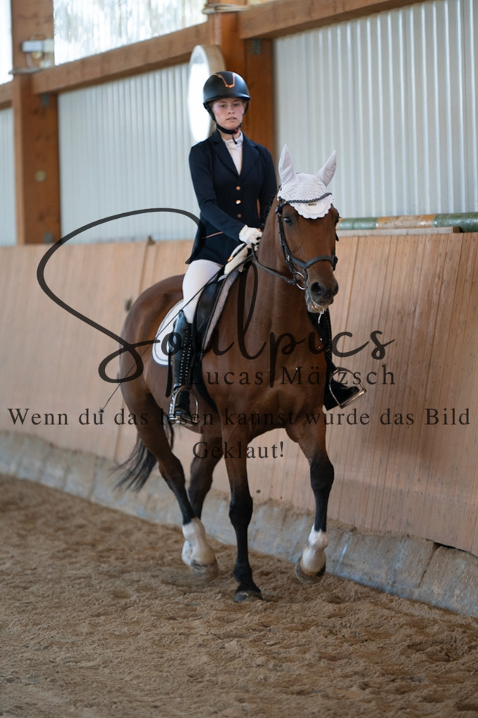 A7V01604 | Turnier/Reitfotograf