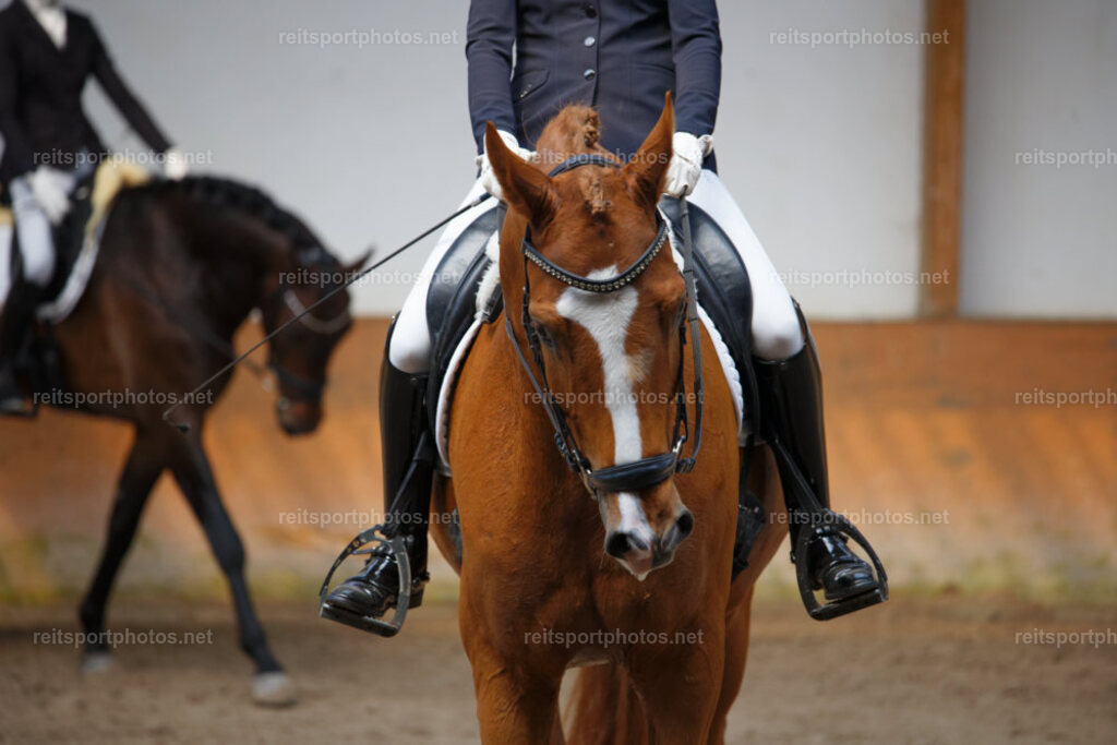 JHE_0552 | JoYa Fotografie - Realisiert mit Pictrs.com