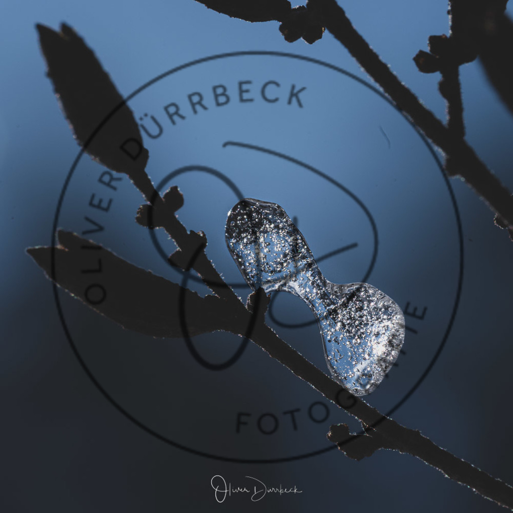 natur-pflanzen-27 | Shop für Kindergartenfotografie und andere Fotoprodukte von Oliver Dürrbeck Fotografie. - Realisiert mit Pictrs.com