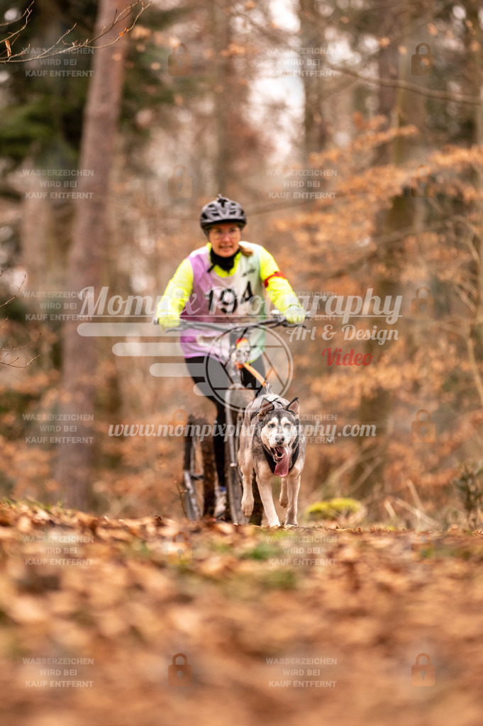 AKM_ST_2023_SAM_Scooter-81 | PayLife