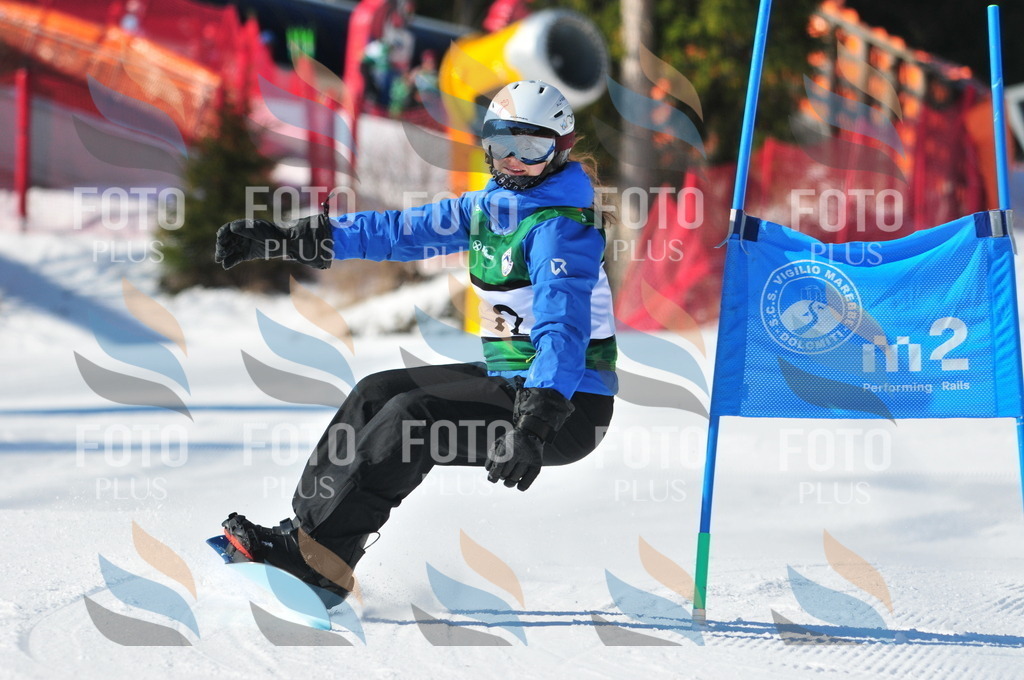 C2432 | holidayphoto