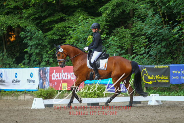 DKP43254 | Turniersportfotografie; Pferdefotografie; Dressurfotografie